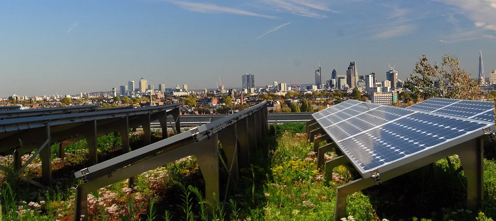 Greenroof in NYC (Source: Medium)